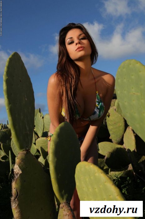 Хрупкая девушка среди больших кактусов