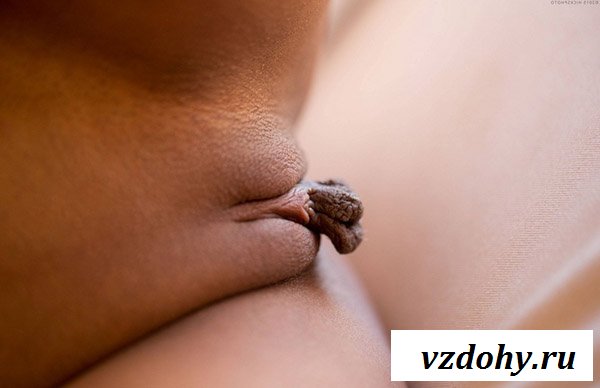 Сладенькая писька обольстительной брюнетки Сладенькая писька обольстительной брюнетки