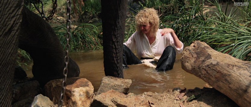 Кейт Кэпшоу в молодости hot