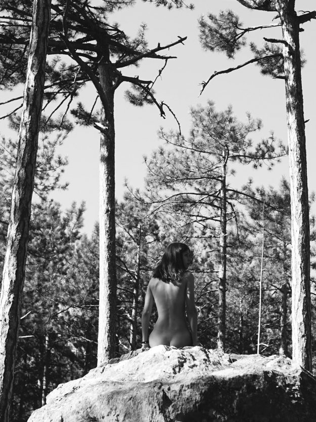 Наташа Шелягина сливы