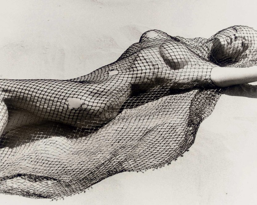 Xxx частные фото Флэйвор ФЛЭВ И Бриджит Нильсен