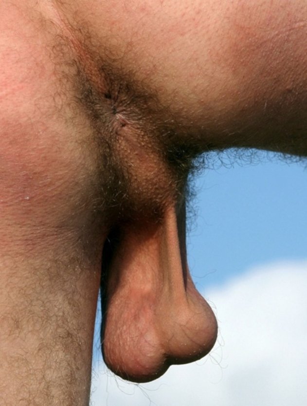 Большой хуй маленькие яйца