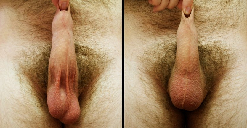 Анальная пробочка в мужской попе