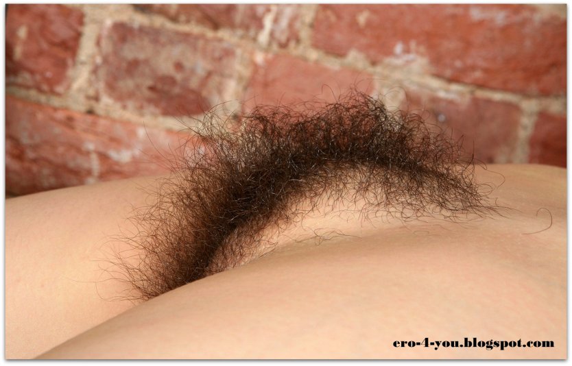 Красивые волосатые женские лобки