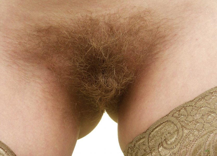 Длинные лобковые волосы