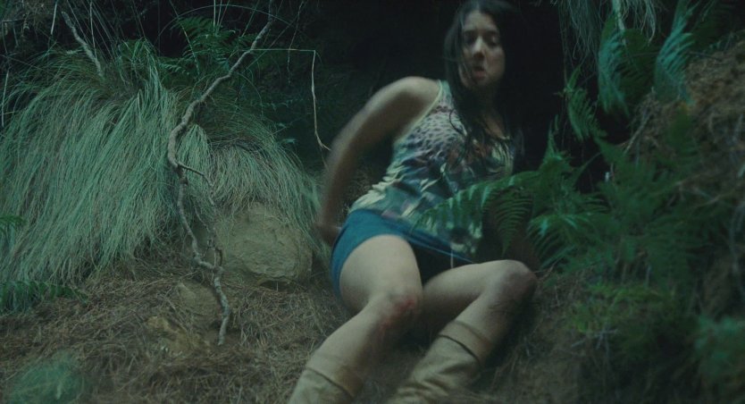 Jessica paré Stardom