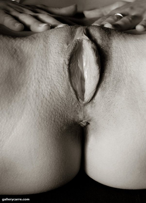 Волосатые киски негритянок