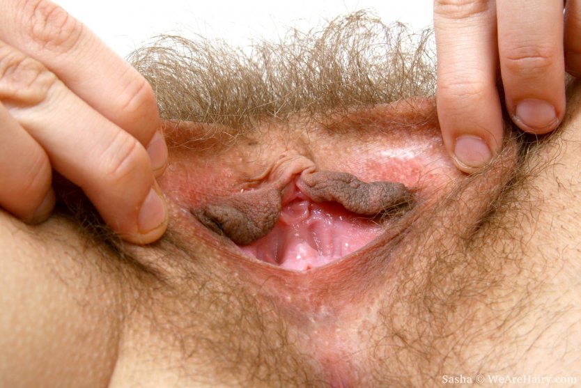 Волосатая женская промежность