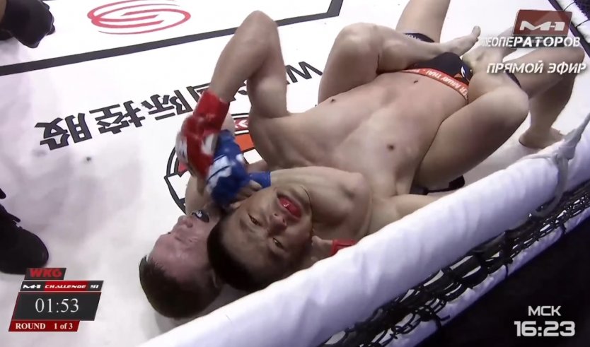 Боксерши с большими сиськами