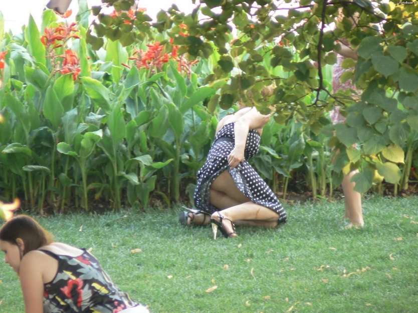 Бабы на даче