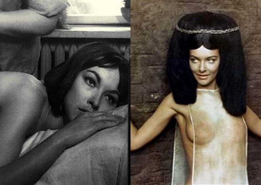 Порнофейк Барбара Брыльска