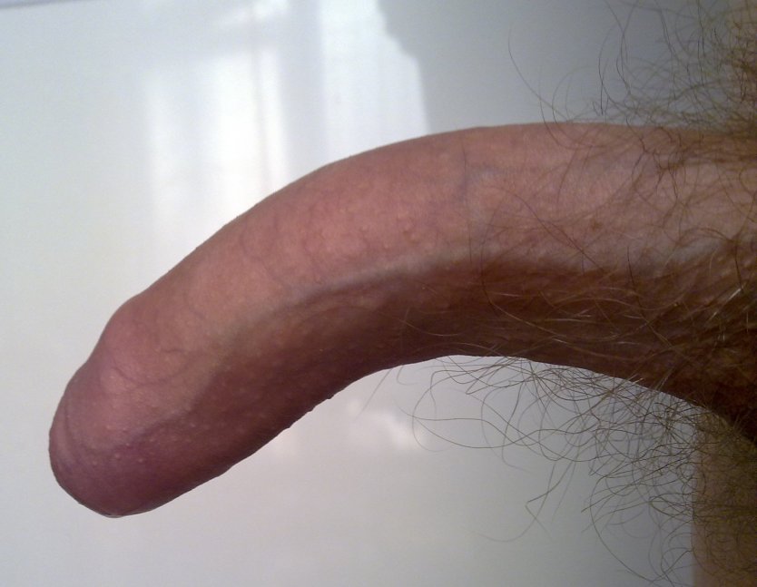 Красивый изогнутый член