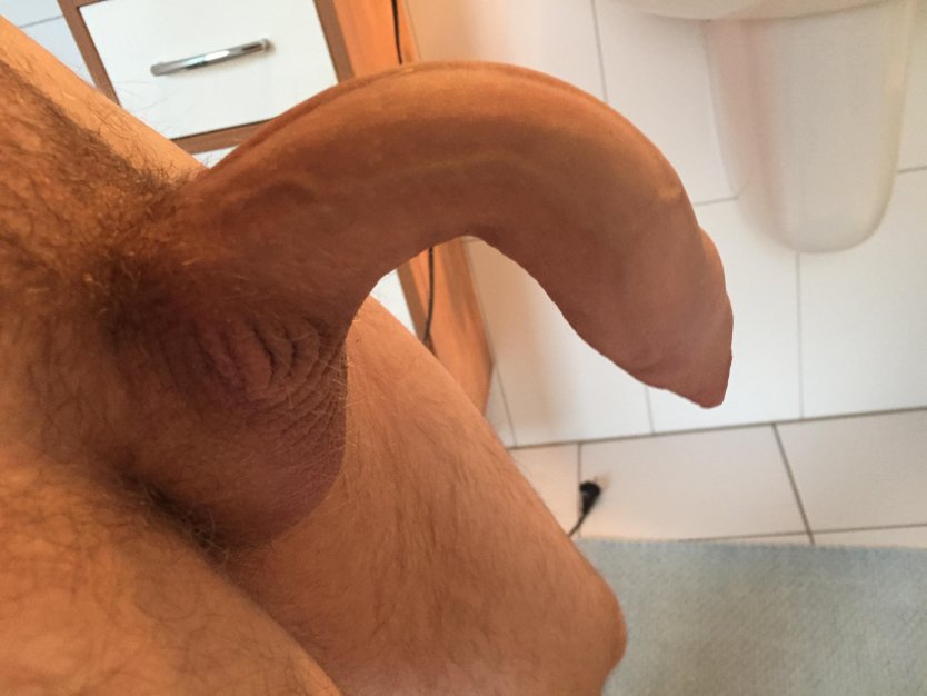 Самый большой половой орган