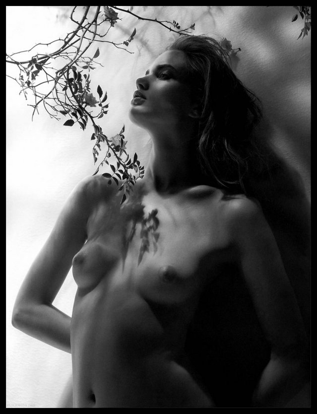 Наталья Водянова голая грудь