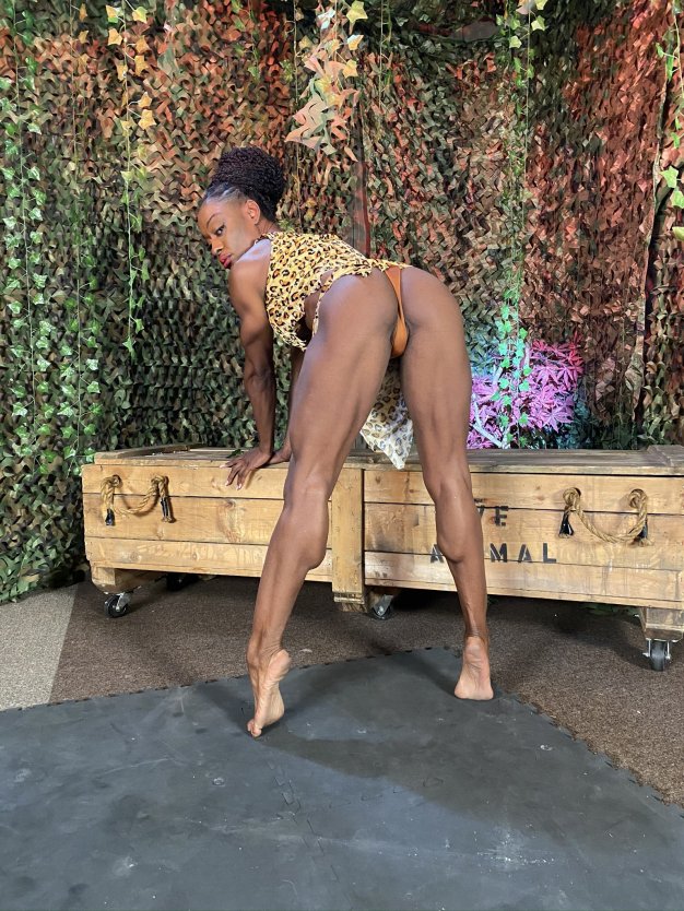 Эшли Лорен порноактриса