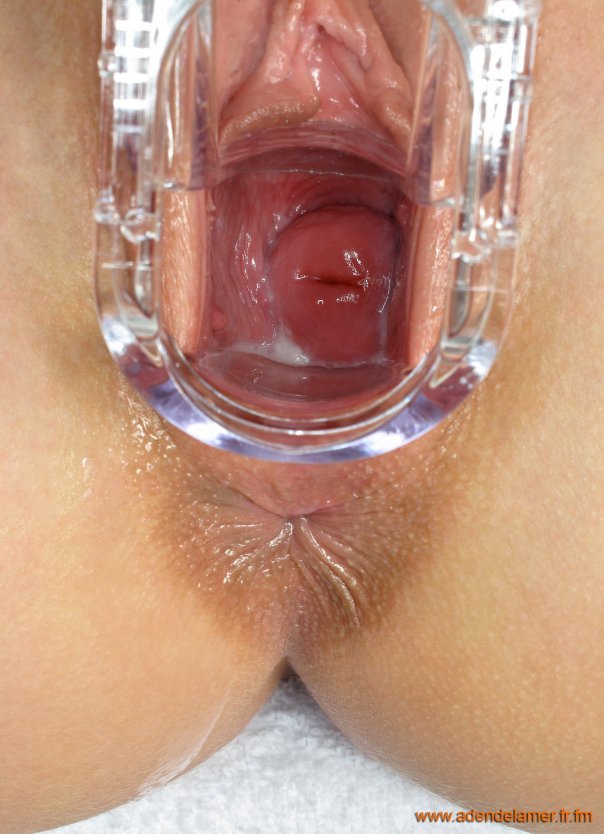 Женская вагина изнутри