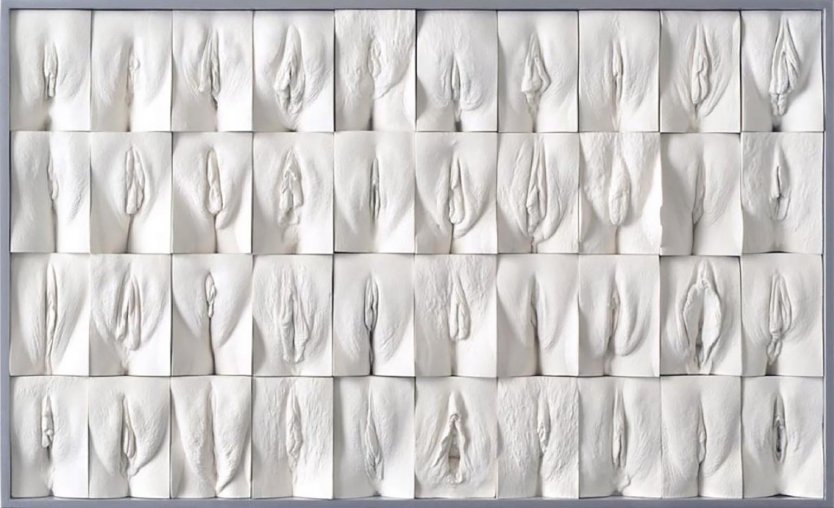 Стена вагин Джейми Маккартни