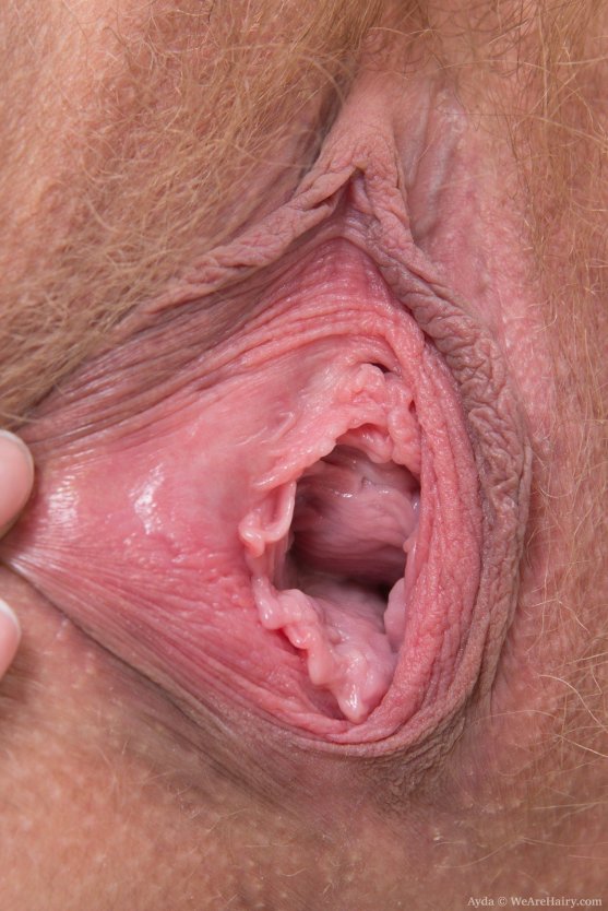 Внутренность вагины крупным планом