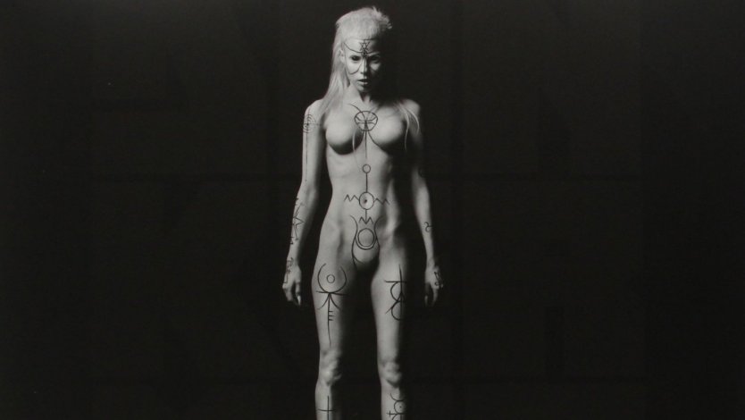 Солистка группы die antwoord голая