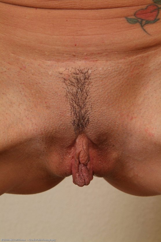 Доминика Чибова рачком