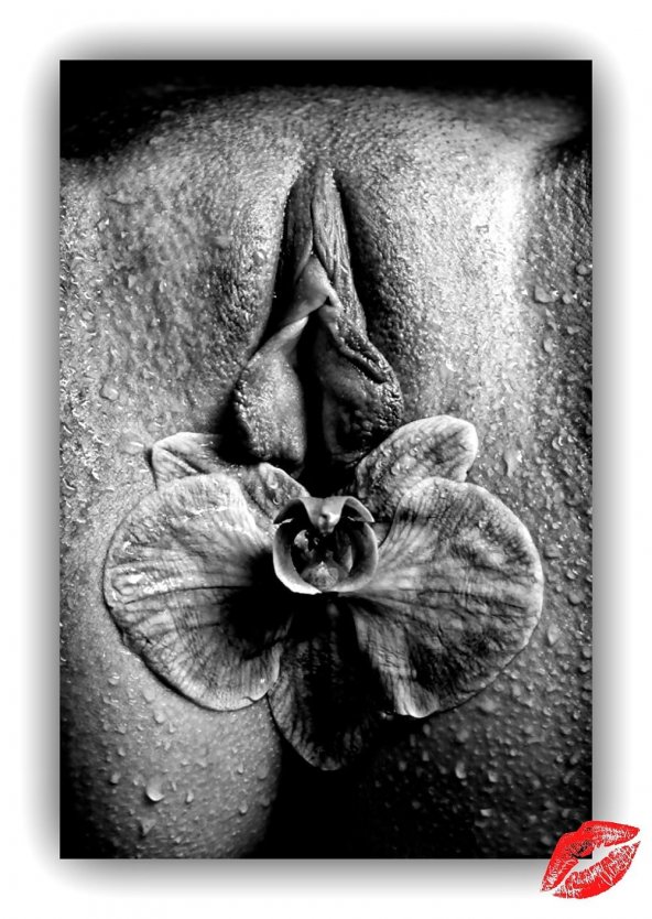 Влад Гансовский фотограф ню