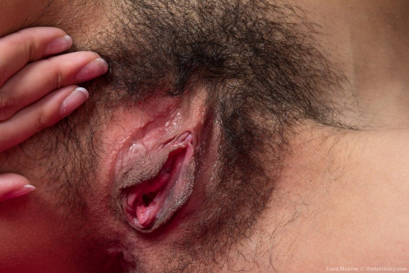 Женские волосатые писечки