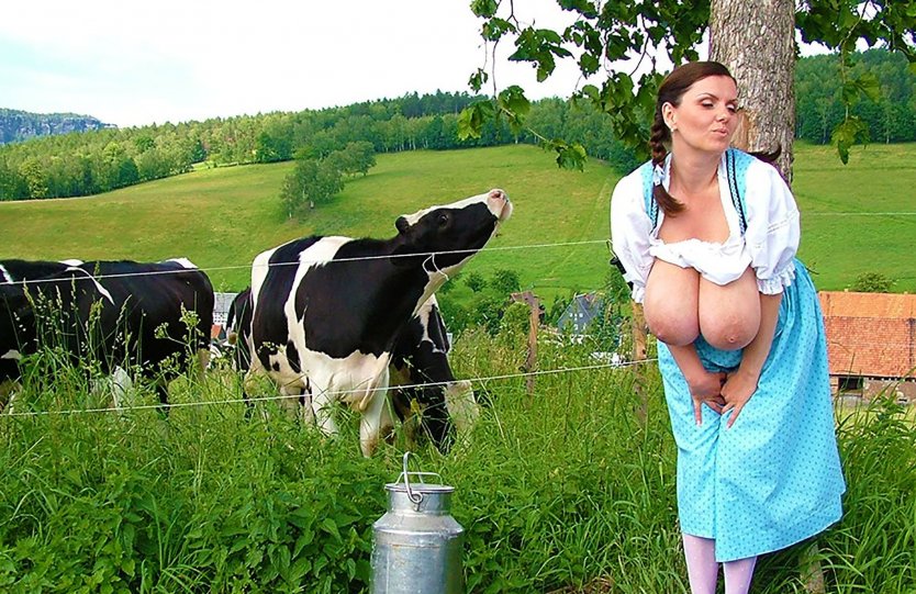 Трах доярки в коровнике