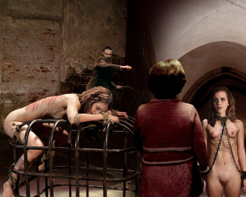 Гермиона Грейнджер бдсм