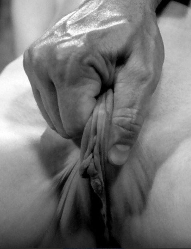 Сжал половые губы рукой