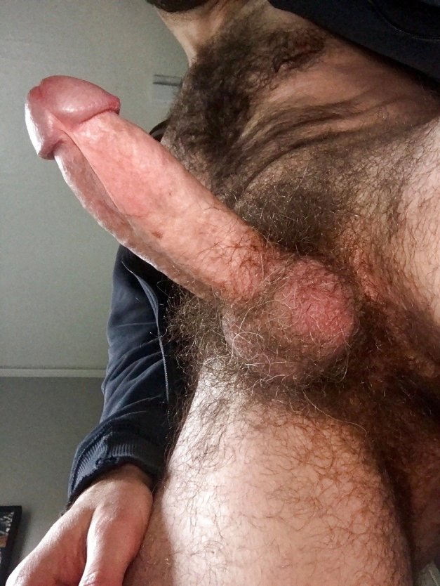 Огромный волосатый член мужчины
