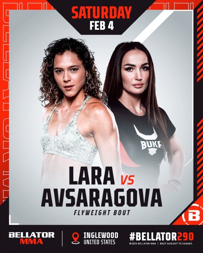 Беллатор 290 кард