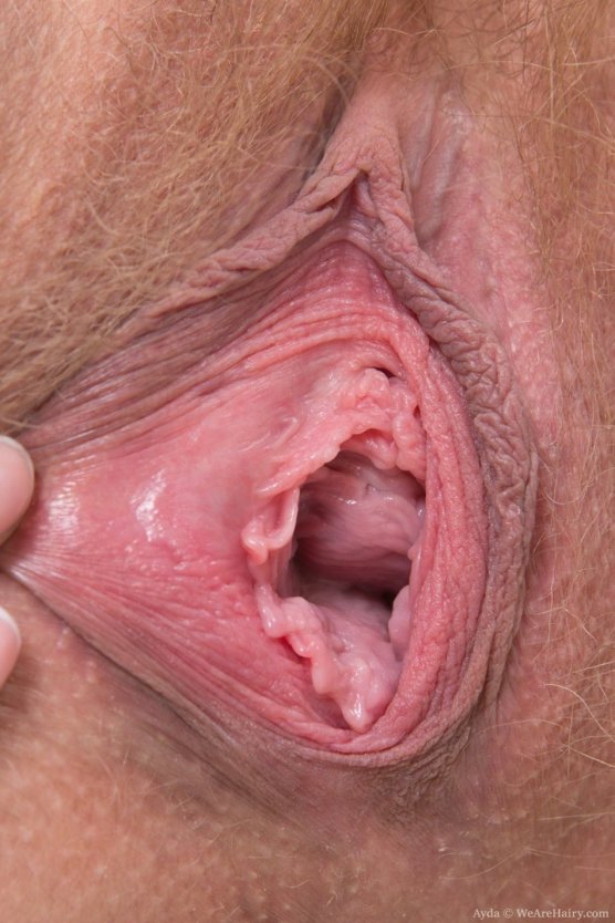 Женские киски крупным планом