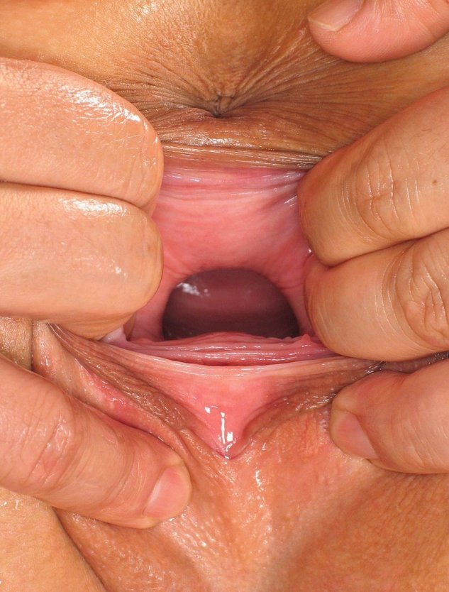 Женское влагалище внутри