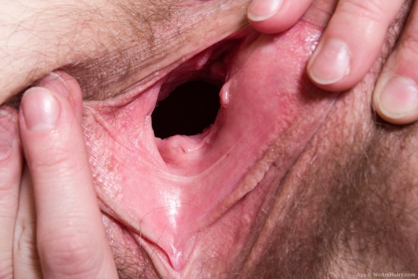 Женское влагалище изнутри