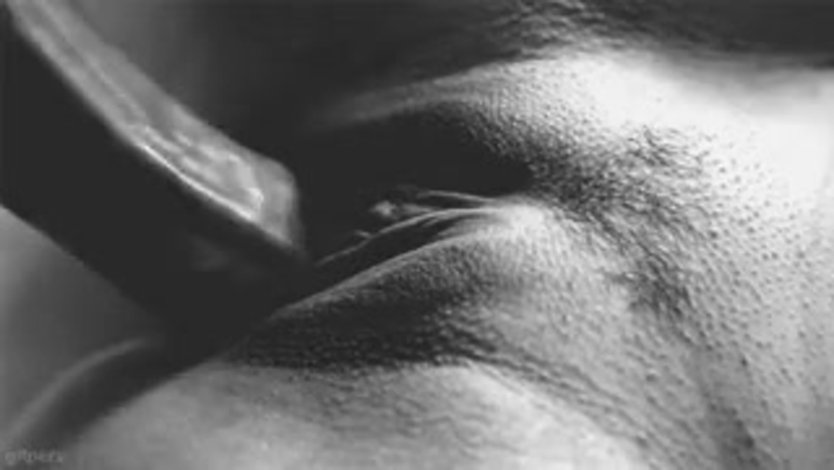 Член во влагалище крупным планом