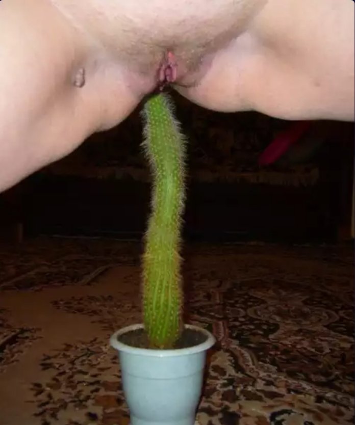 Засунула Кактус в вагину