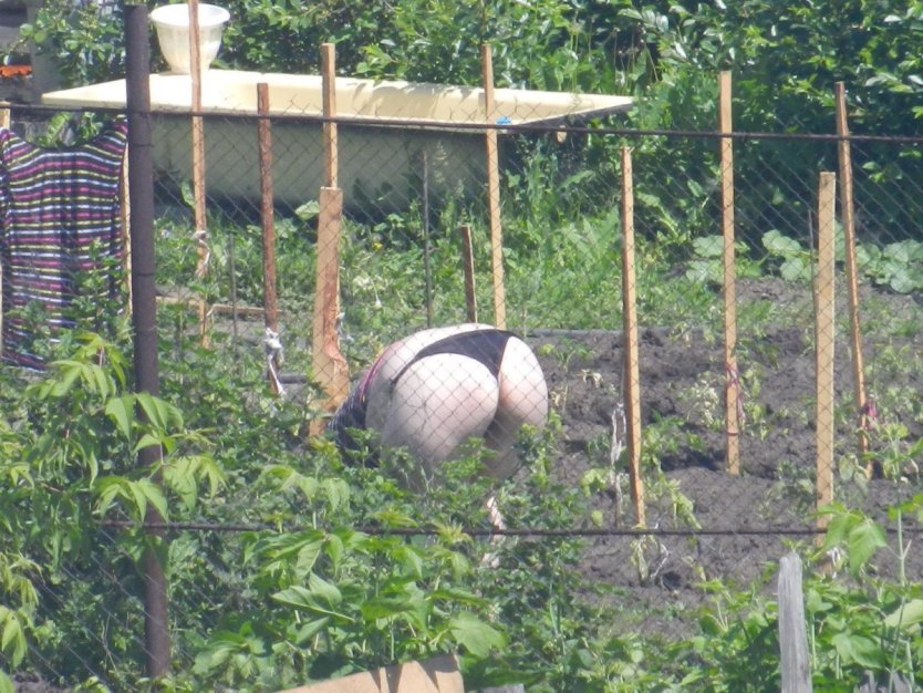 Соседка на даче