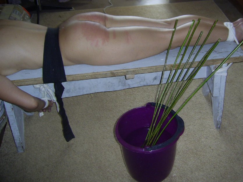 Березовые розги