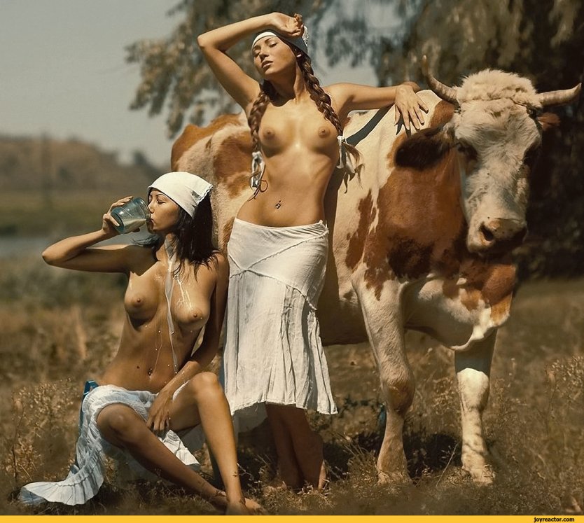 Фотосессия с коровой голые