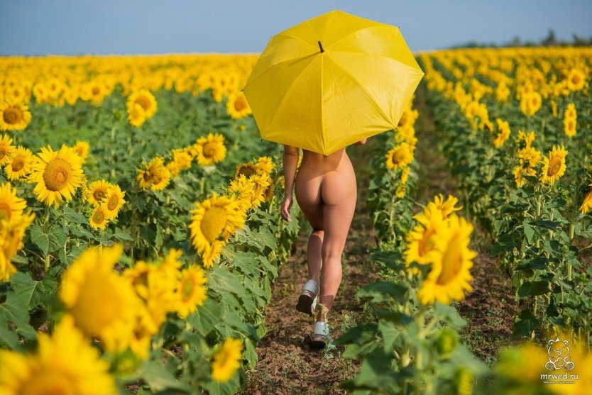 Девушка ню в поле с цветами