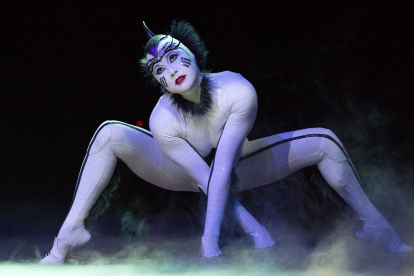 Эротическое шоу цирка дю солей