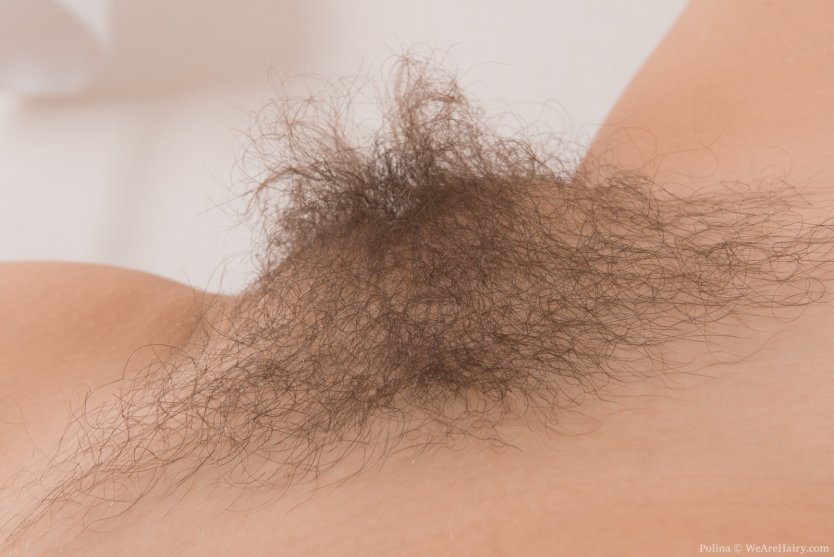 Волосатый лобок вид сверху