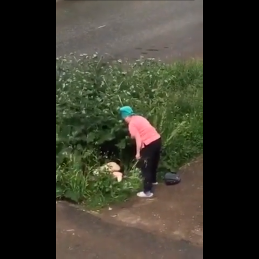 Мальчик в кустах