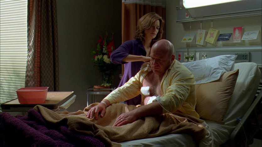 Анна Ганн hot Breaking Bad