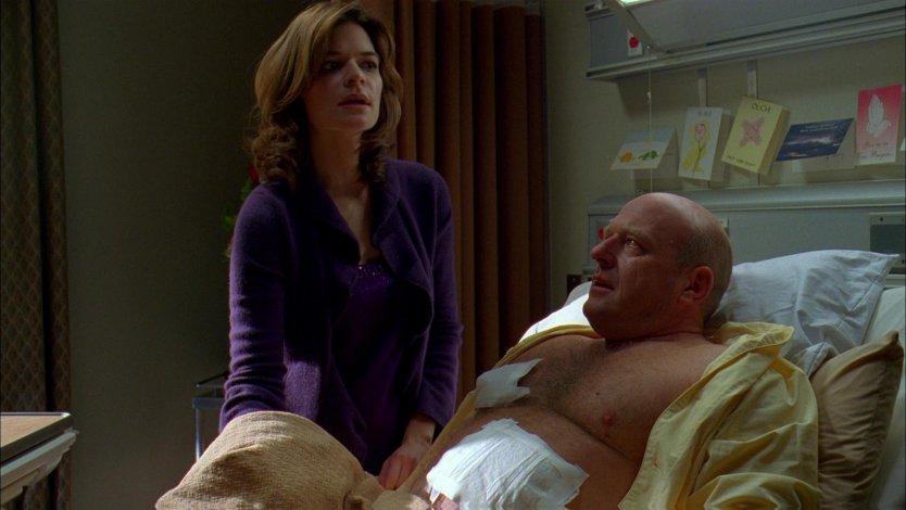 Во все тяжкие эротические сцены