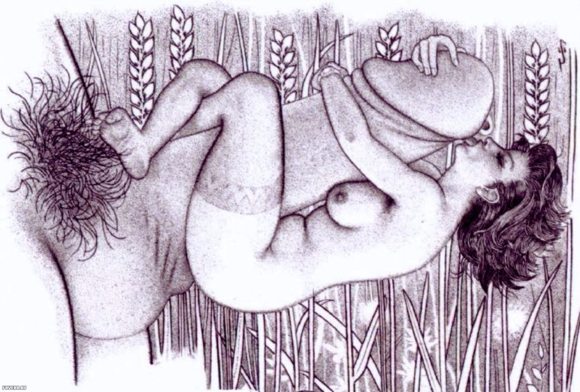 Порнографические рисунки