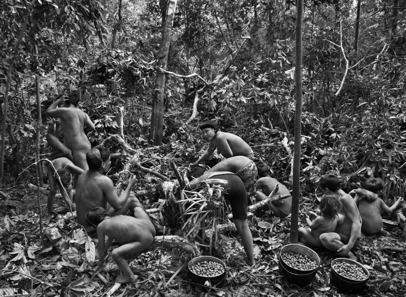 Голые женщины диких племен Амазонии