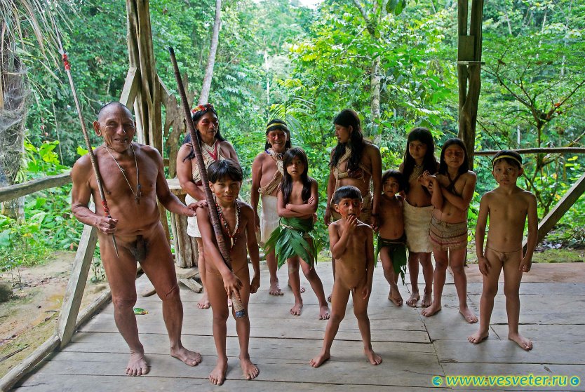 Голые племена индейцев амазонки