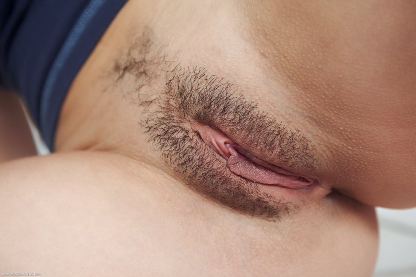 Красивые волосики на лобке